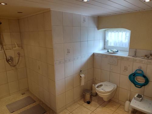 a bathroom with a toilet and a window at FeWo Sonnenblick Rammingen in Rammingen