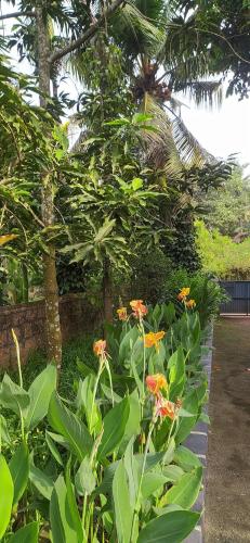 Κήπος έξω από το Runnin' Airport- HomeStay near Mangalore International airport