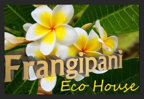 Gallery image of Frangipani HOUSE Cagliari luxury huge apartment city center with lift in Cagliari