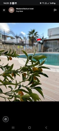 Πισίνα στο ή κοντά στο WB Weekend Otel
