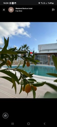 Πισίνα στο ή κοντά στο WB Weekend Otel