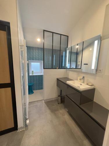 une salle de bain avec un lavabo et un miroir dans l'établissement Le Gîte d'Antoine - Beaujolais, à Saint-Étienne-des-Oullières