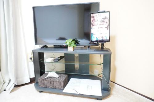 a tv on a stand with a television on it at カーサセントラル in Tokyo