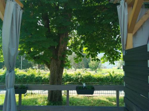 Taman di luar Tinyhaus Leo