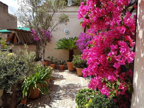 a garden with pink flowers and potted plants at Hotel Celio in Rome