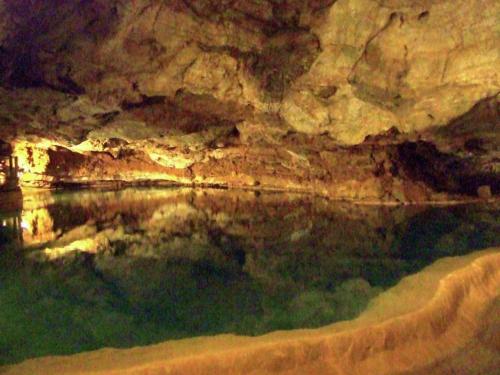 a pool of water in a cave with a rock wall at Slate-Roofed Hideaway in Cressensac