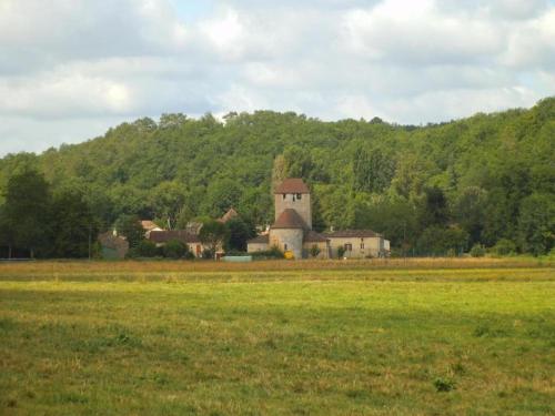 a house in the middle of a field in front of a mountain at Slate-Roofed Hideaway in Cressensac
