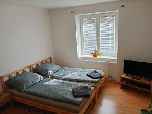 a bedroom with two beds and a flat screen tv at Apartmán Trencan FREE PARKING CITY CENTRE in Trenčín