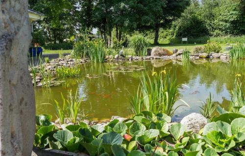 a pond in a garden with many plants at Stunning Home In Rødekro With Sauna in Rødekro