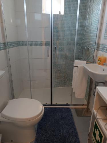 a bathroom with a shower and a toilet and a sink at Casa Pelourinho in Silves