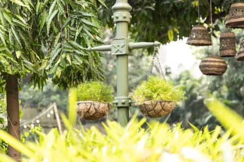 a pole with three hanging plants in baskets at Hotel Kamal Palace in Jalandhar