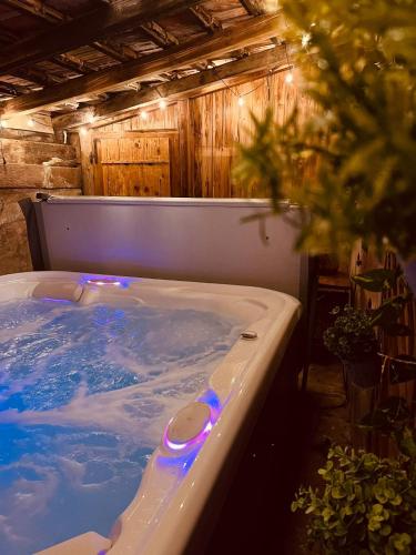 Fotografie z fotogalerie ubytování Les Gîtes de Juliane - Calme & spa en altitude - Alsace v destinaci Aubure