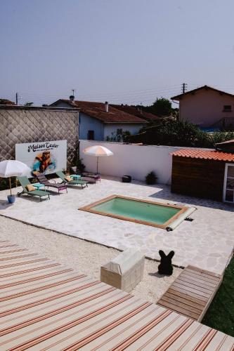 a backyard with a swimming pool and a black cat sitting on a patio at Maison Castor, balnéo et billard chez Ivona Vacances in Mimizan