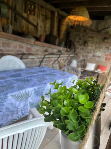 Fotografie z fotogalerie ubytování Les Gîtes de Juliane - Calme & spa en altitude - Alsace v destinaci Aubure