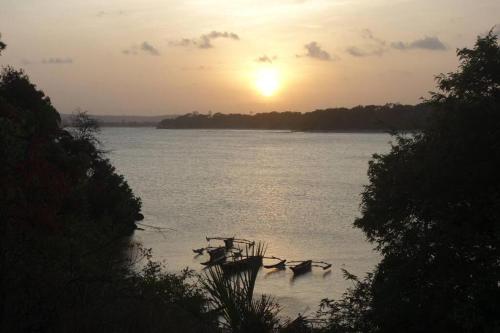 a group of birds flying around a boat in the water at Juani Pangani in Pangani