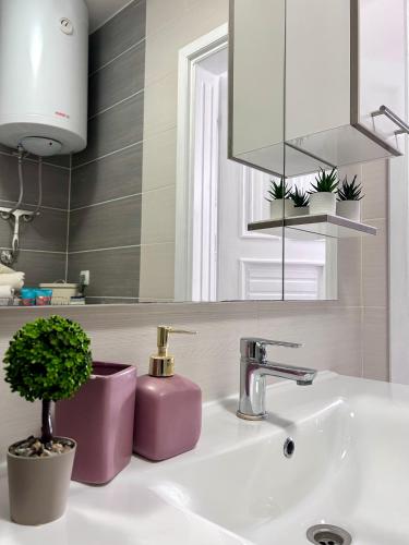 a bathroom sink with a potted plant and a mirror at Apartment Laura in Senj