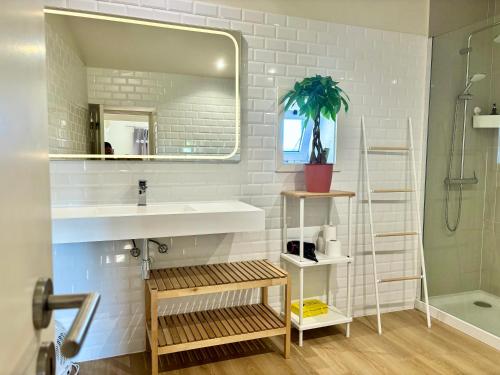 a bathroom with a sink and a mirror at Historical Center - Taipas Apartments in Porto
