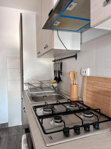 a kitchen with a stove and a sink at Apartment Laura in Senj