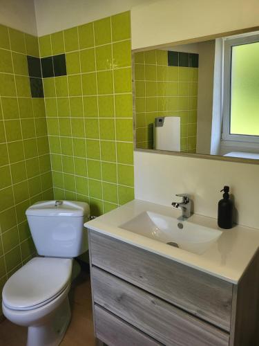une salle de bain avec toilettes, lavabo et miroir dans l'établissement Appartement rénové à la campagne, à La Celle-sous-Gouzon