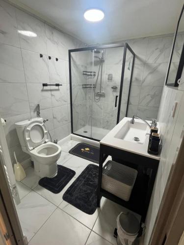 une salle de bain avec une douche, des toilettes et un lavabo dans l'établissement Rankos, à Malakoff