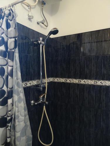 a shower in a bathroom with a shower curtain at Ceylon Glory Hostel in Negombo
