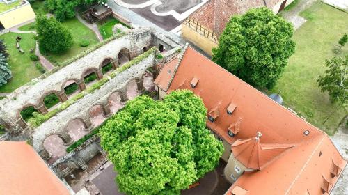 Κήπος έξω από το Stiftung Kloster und Kaiserpfalz Memleben