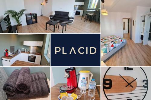 a collage of photos of a kitchen and a apartment at Le ScottmanHouse - Appartement privé - Centre ville - Gare - Wi-Fi in Arras
