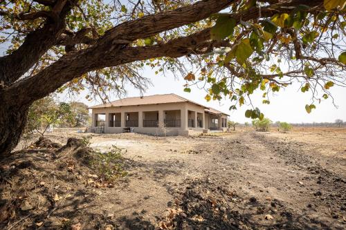 a house in the middle of a field with a tree at Rain Tree Camp in Chunga