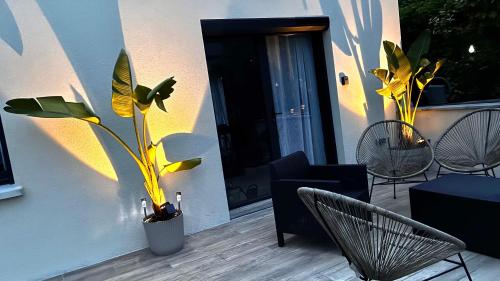a plant in a vase sitting on a patio at Garden & Spa Camélia by PRIMO C0NCIERGERIE in Bourges