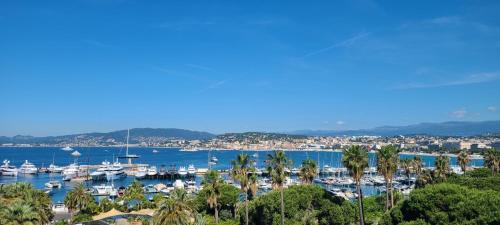 Vue unique sur toute la baie de Cannes et la mer