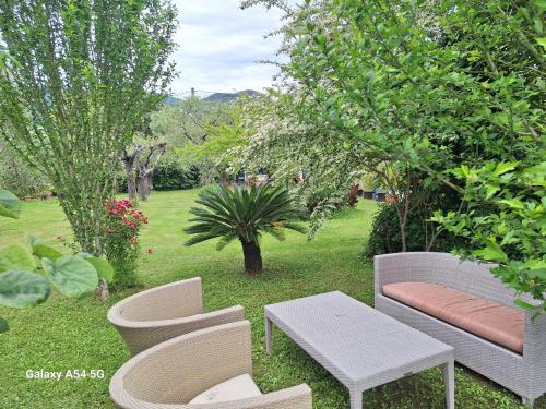 a garden with a bench and chairs and trees at B&B Da Pio in Pietrasanta