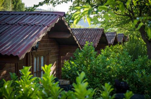 un groupe de petits bâtiments en bois avec des toits rouillés dans l'établissement Fuente del Lobo Glamping & Bungalows - Adults Only, à Pinos Genil