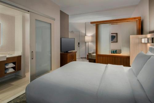 a bedroom with a large bed and a television at SpringHill Suites by Marriott Mount Laurel in Mount Laurel