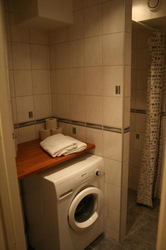 a small bathroom with a washing machine in it at Visby Innerstad Lägenheter & Rum in Visby