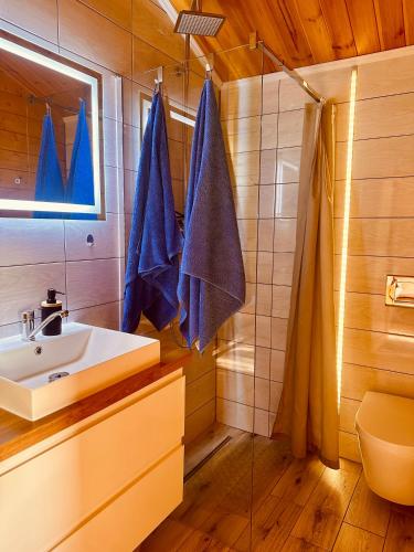 a bathroom with a sink and a shower at LandsBy Apartments in Ostrów Warcki