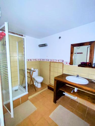 une salle de bain avec un lavabo, une douche et des toilettes dans l'établissement La Ferme d'Emile, à Poligny