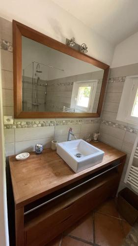 une salle de bain avec un lavabo et un miroir dans l'établissement Tiny House du Mas de la Calabro, à La Valette-du-Var