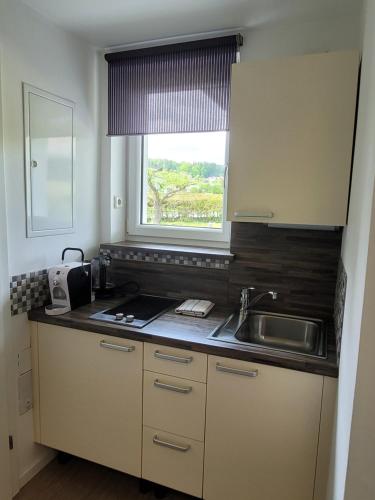 a small kitchen with a sink and a window at apartmentHAUSmannstätten in Hausmannstätten