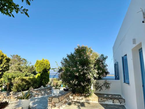 a view of the garden of a house with a tree at Yaleena Residences in Drios