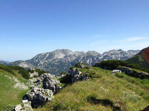 a view of the mountains from the top of a hill at Reitbauernhof Schartner in Altaussee