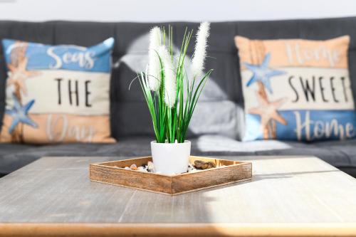 a wooden tray with a potted plant on a table at Ferienwohnungen Haus Boje in Neuharlingersiel