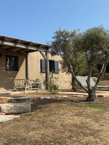 un banc devant une maison avec un arbre dans l'établissement Loue Villa Bonifacio vue mer, à Bonifacio