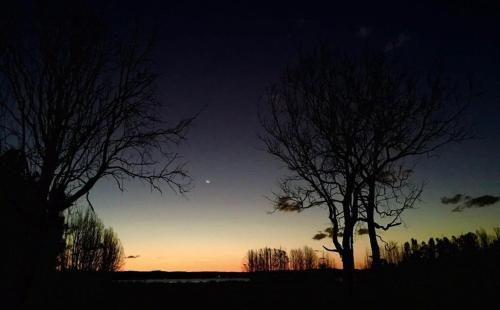 two trees in a field with the sunset in the background at Rosemont by Tiny Away in Kempsey