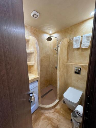 a small bathroom with a toilet and a shower at Endless View in Mythimna