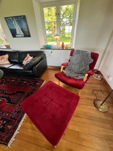 a living room with a couch and a red rug at Half-timbered house in Österlen in Sjöbo
