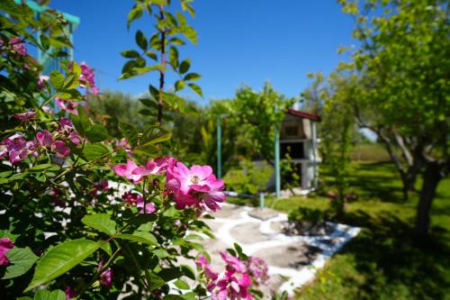 Φωτογραφία από το άλμπουμ του Dream in Chalkidiki 2 bedroom villa with garden σε Néa Tríglia