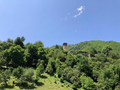 a hill with trees and a castle in the distance at Hotel Lileo in Mestia