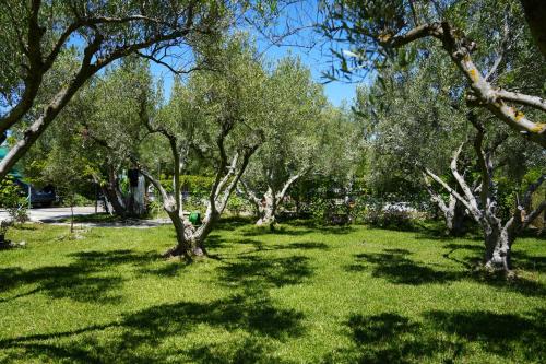 Φωτογραφία από το άλμπουμ του Dream in Chalkidiki 2 bedroom villa with garden σε Néa Tríglia