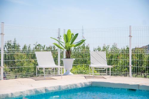 dos sillas y una maceta junto a una piscina en Mi Recreo - Casa Rural en Murcia, en Ojós