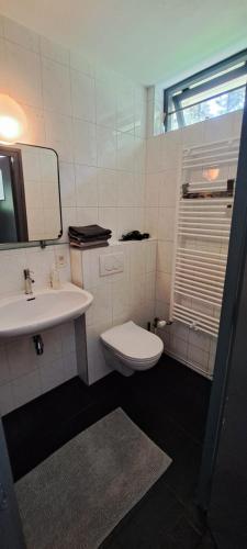 a bathroom with a toilet and a sink and a mirror at Bungalow Hartje Veluwe in Otterlo